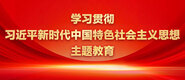 日本操屄免费大片学习贯彻习近平新时代中国特色社会主义思想主题教育_fororder_ad-371X160(2)